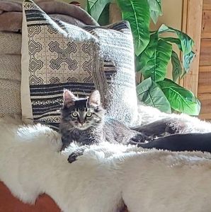 Meet your Posher, Leanne